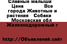 Славные малыши! › Цена ­ 10 000 - Все города Животные и растения » Собаки   . Московская обл.,Железнодорожный г.